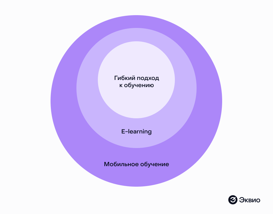Гибкий подход к&nbsp;обучению