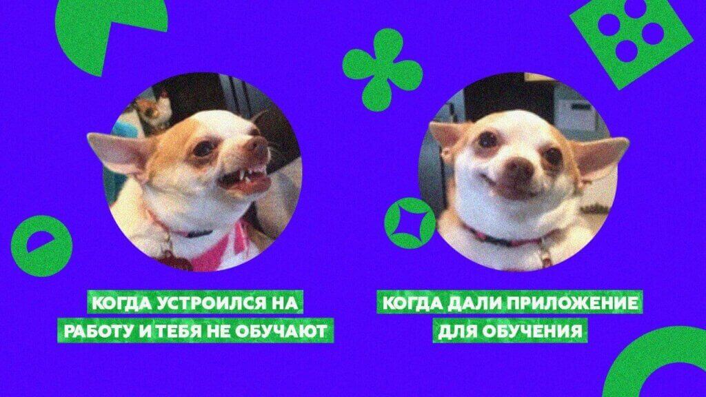 Как использовать приложение для&nbsp;обучения работников