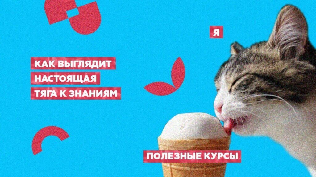 Тяга к&nbsp;образовательным курсам