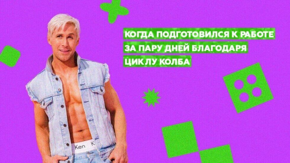 Что такое&nbsp;Цикл Колба?