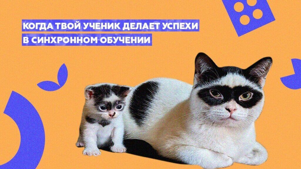 Обучение сотрудников в&nbsp;синхронном формате