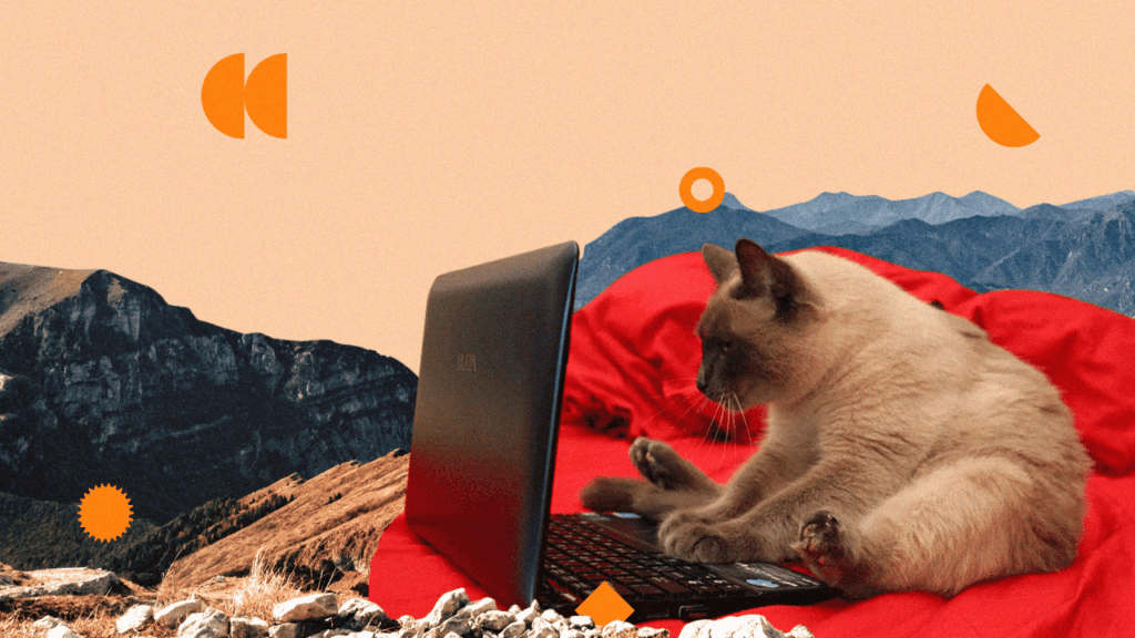 LXP-платформы для&nbsp;персонализированного обучения