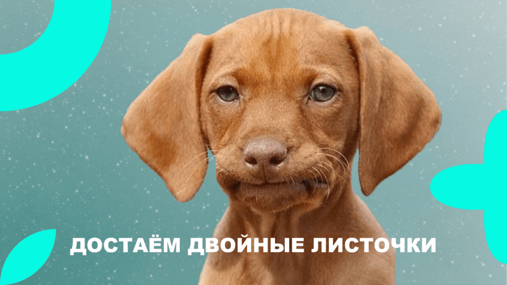 Добавление в&nbsp;курсы тесты, опросы, практические задания