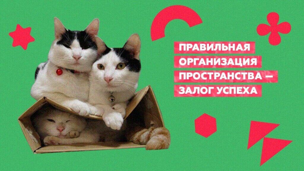 Правильная организация пространства на&nbsp;рабочем месте