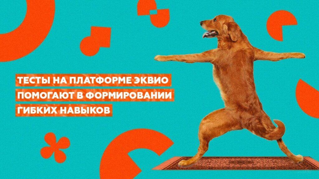 Как протестировать у&nbsp;сотрудников уровень гибких навыков