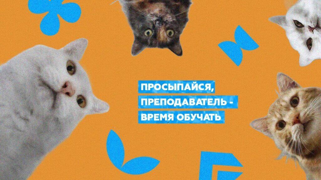 Лучшее время для&nbsp;онлайн обучения