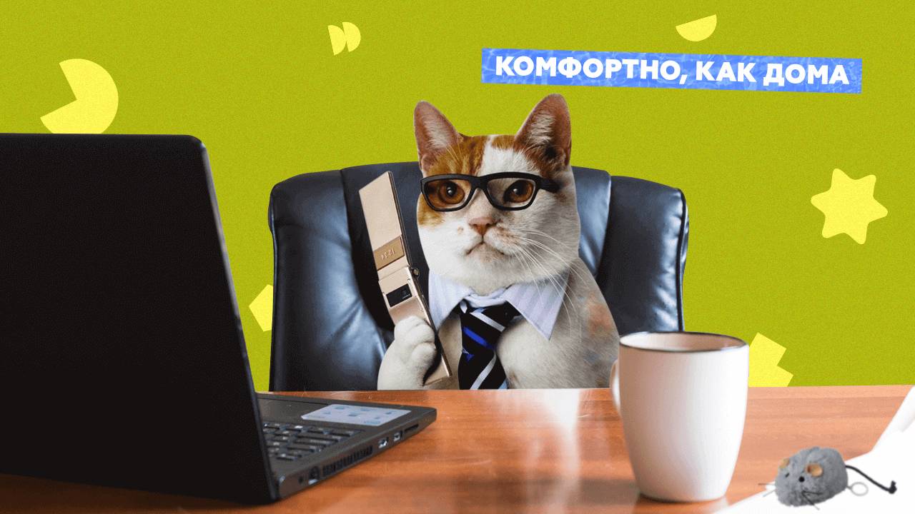 Престиж и&nbsp;комфорт на&nbsp;рабочем месте