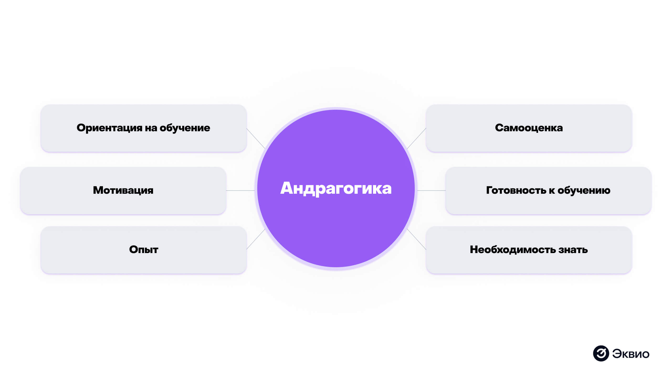 Что такое&nbsp;андрагогика